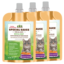 Cats Special Sauce - 3 Pouches @ 3.5 oz. each (Total 10.5 oz)